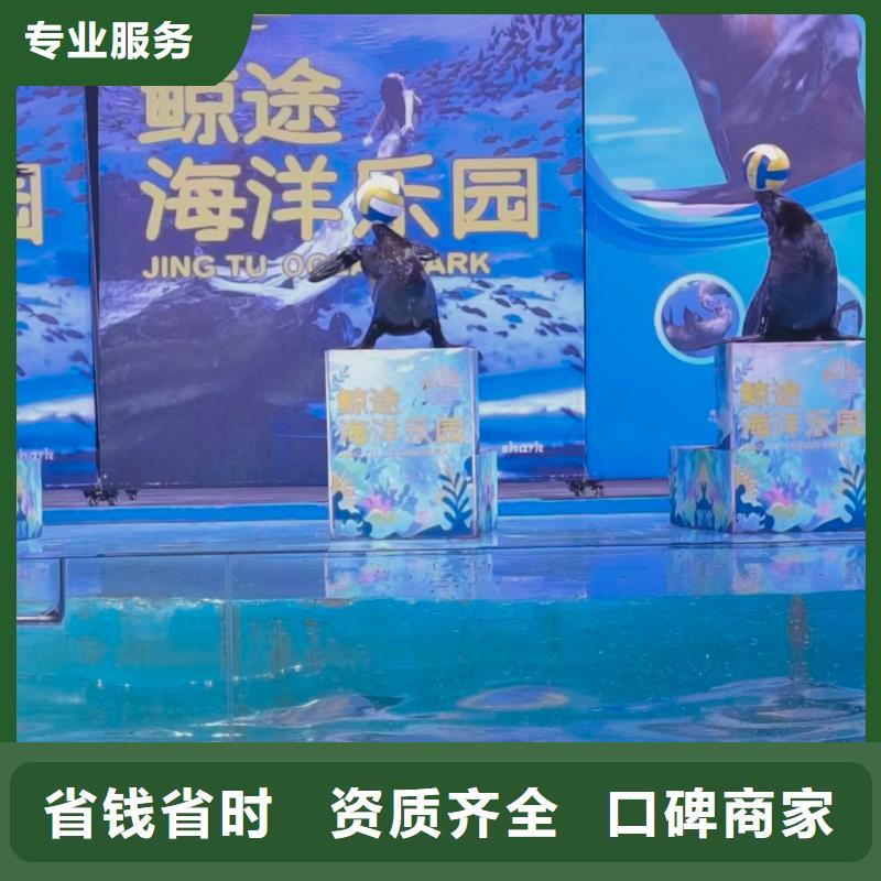 南头镇深圳_动物租赁老客户回购较多皓恒动物租赁萌宠展出租(深圳市南头镇基地)(更新时间:2026-03-25 08:05:12)
