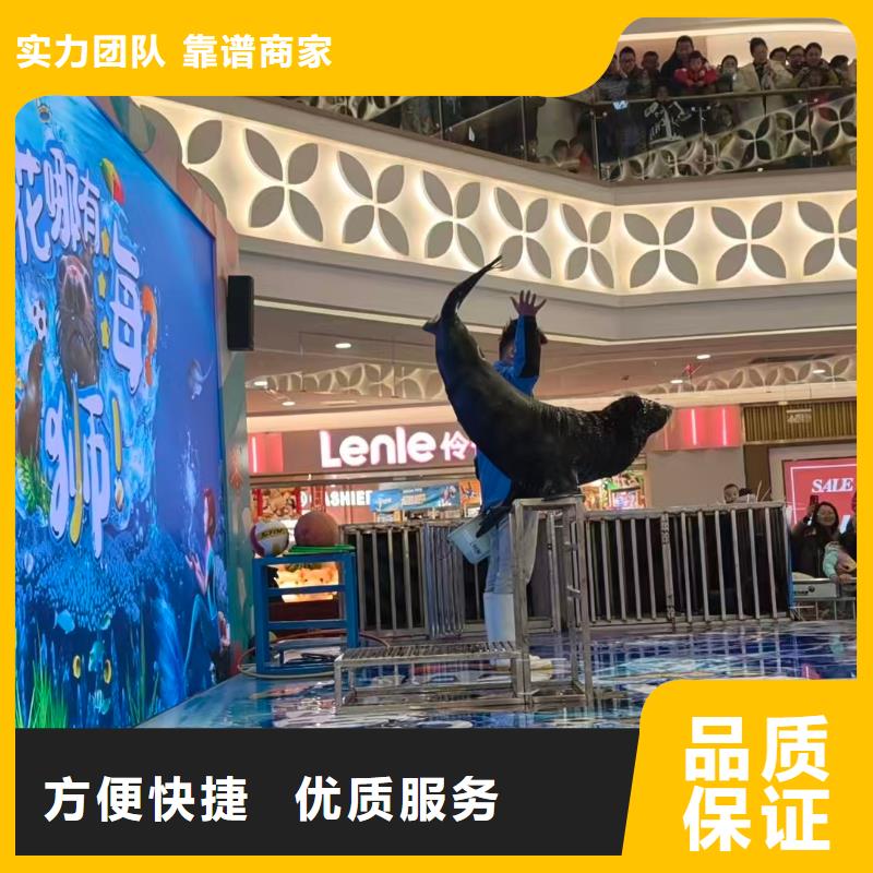 南头镇深圳_动物租赁老客户回购较多皓恒动物租赁萌宠展出租(深圳市南头镇基地)(更新时间:2026-03-25 08:05:12)